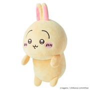 Posture Pal - CHiiKAWA - Charm Style