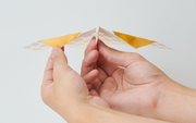 Papillon Origami Airplanes - Display Ready