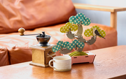 Play Plants Bonsai Puzzles - Daily Pick