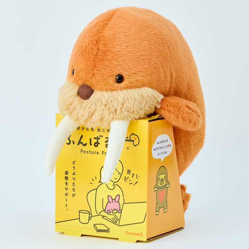 Posture Pal - Marine - Daily Pick
