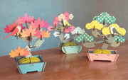 Play Plants Bonsai Puzzles - Collector Pick