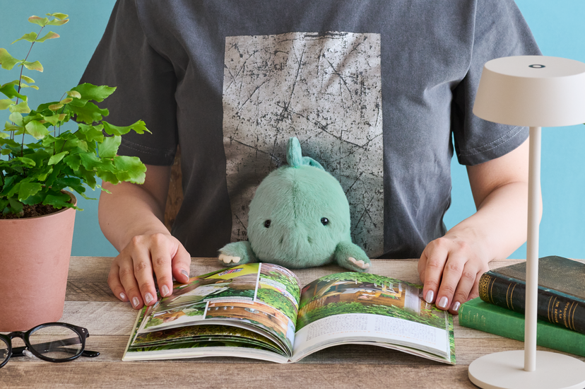 Posture Pal - Dinosaur - Little Charm