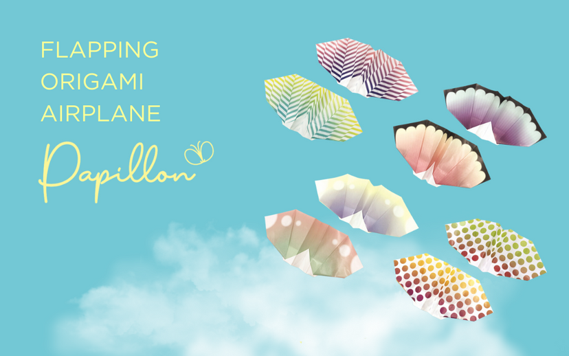 Papillon Origami Airplanes - Display Ready
