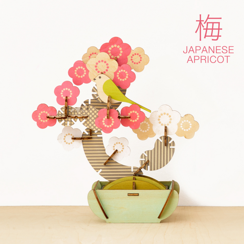 Play Plants Bonsai Puzzles - Daily Pick